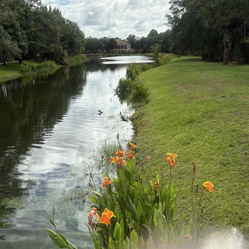 Savannah Square - Parks Near Me - Celebration, Florida Savannah Square - Parks Near Me - Celebration, Florida