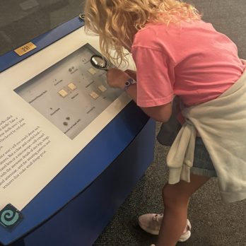 Field Museum - Museums Near Me - Chicago, Illinois