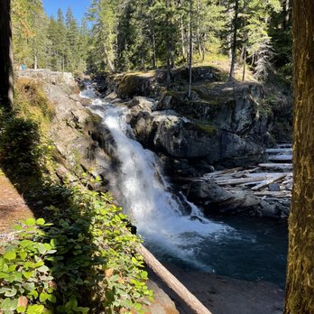 Evergreen Escapes - Tours Near Me - Seattle, Washington Evergreen Escapes - Tours Near Me - Seattle, Washington