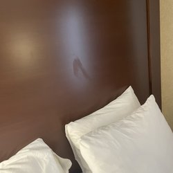 Comfort Inn & Suites Vancouver Downtown City Center