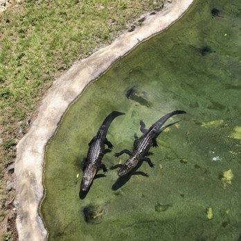 Zoo Miami - Zoos Near Me - Miami, Florida Zoo Miami - Zoos Near Me - Miami, Florida