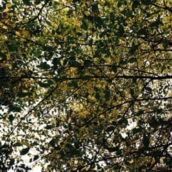 Branické skály - Autumn