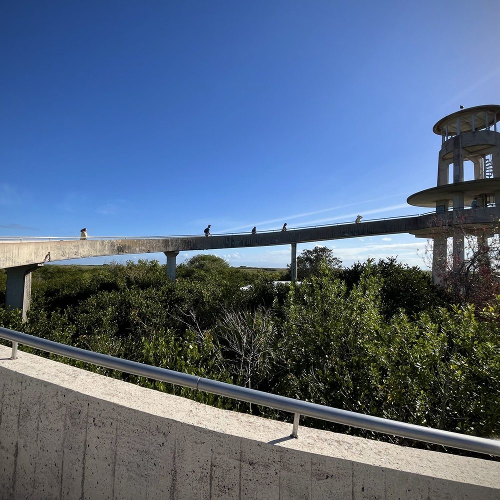 Shark Valley Tram Tours - Tours Near Me - Miami, Florida