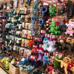 So many dog toys!