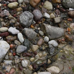 Strand Neukamp - Keine Ausbeute an diesem Nachmittag...