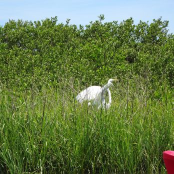 Ripple Effect Ecotours - Rafting/Kayaking Near Me - St. Augustine, Florida
