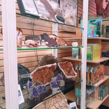 Prehistoric Florida - Glass display case showcasing mineral, fossil, and rock specimens, including geodes, crystals, and fossils, in a gift shop setting. - Gift Shops Near Me - St. Augustine, Florida