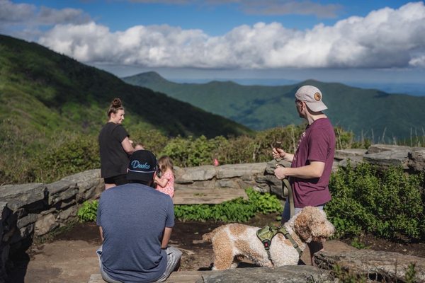 Blue Ridge Parkway - Craggy Gardens Visitor Center by null