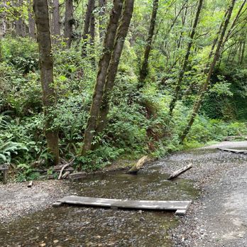 Fern Canyon Trailhead - Parks Near Me