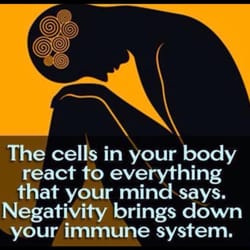 Hadiya Wellness