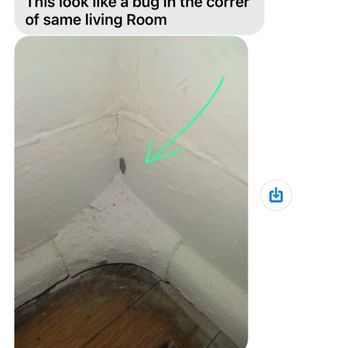Ecola Termite & Pest Control Services - Random bugs within the warranty. These were photos from the Airbnb guests that demanded a refund and did check out early. - Pest Control Near Me Ecola Termite & Pest Control Services - Random bugs within the warranty. These were photos from the Airbnb guests that demanded a refund and did check out early. - Pest Control Near Me