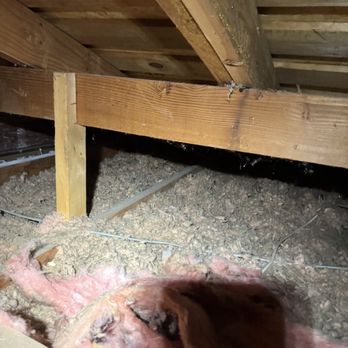 Next Level Specialty Contracting - Insulation Installation Near Me