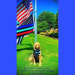 Blue Line Armament - My a o t king k9 that tracks human scent