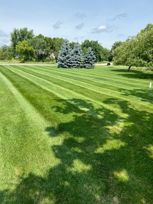 Landscaping, Hardscaping, Tree Removal - Landscaping, Hardscaping, Tree Removal