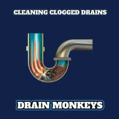 Slide of Drain Monkeys