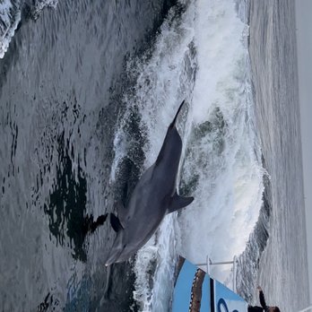 Destin Snorkel Tours - Boating Near Me - Destin, Florida