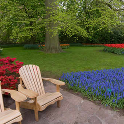 Red Oak Landscape - **IMAGE_CAPTION**