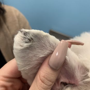 PetSmart - Pet Stores Near Me - Tujunga, California