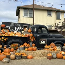 The Farm
