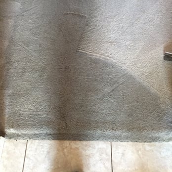Safari Carpet Cleaning - Carpet Cleaning Near Me Safari Carpet Cleaning - Carpet Cleaning Near Me
