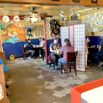 Blue Moose Cafe - The inside seating... nicely social distancing - American Near Me - Port Townsend, Washington Blue Moose Cafe - The inside seating... nicely social distancing - American Near Me - Port Townsend, Washington