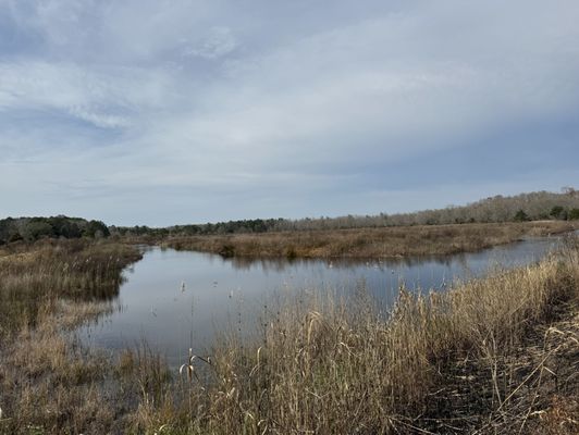 Caw Caw Interpretive Center by null