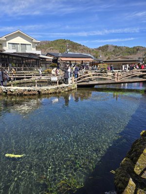 Oshino hakkai by null