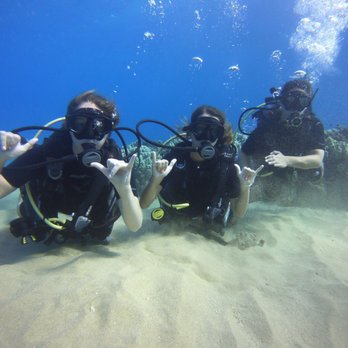 Sammy Scuba Diving - Scuba Diving Near Me - Lahaina, Hawaii Sammy Scuba Diving - Scuba Diving Near Me - Lahaina, Hawaii