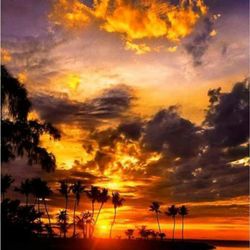 HavaSafe Ride Shuttle Service - Beautiful lake havasu sunset