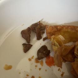 Lucky Star Chinese Food - Burnt wonton and some kind of meat