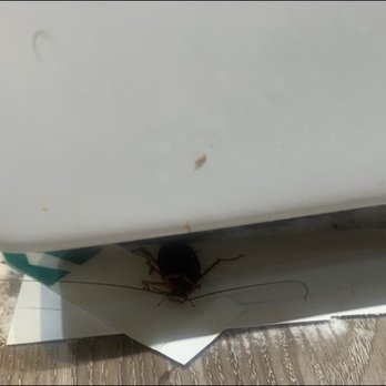 Park Mesa - Roaches under my stove. - Apartments Near Me - Costa Mesa, California