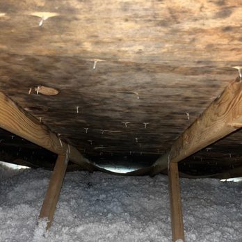 Mold Solutions NW - Attic space before treatment - Damage Restoration Near Me - North Bend, Washington Mold Solutions NW - Attic space before treatment - Damage Restoration Near Me - North Bend, Washington