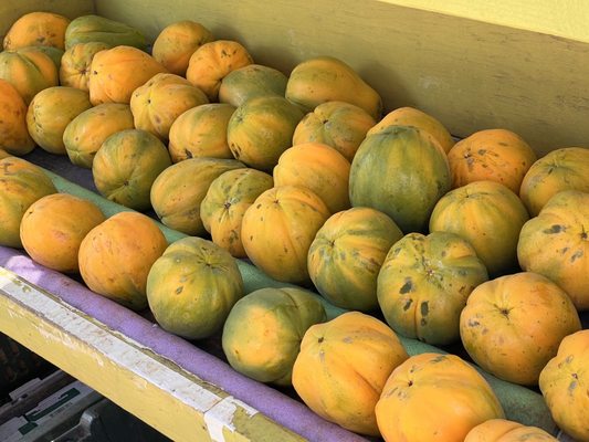 Kuilima Farm Stand by null