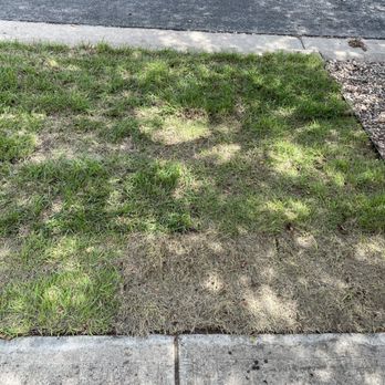 Constant Lawn and Gardener - Weeks after planting this dead and nearly dead turf, we started to get a weed infestation. - Tree Services Near Me