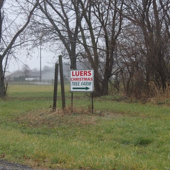 Luers Christmas Tree Farm - Christmas Trees Near Me - Crown Point, Indiana