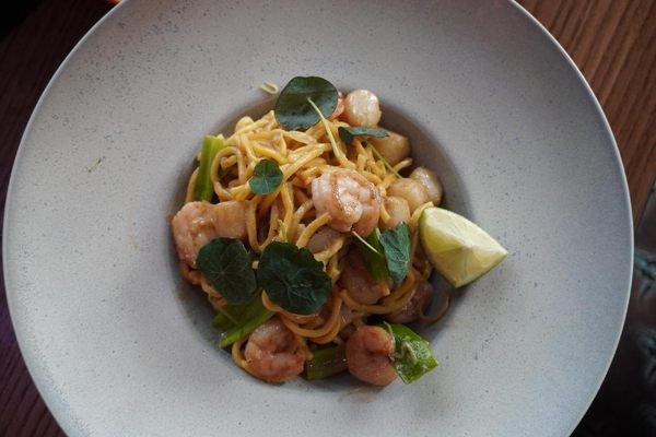 ZuZu Nashville by null