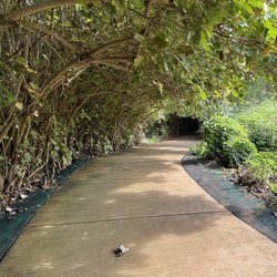 Kauai Path