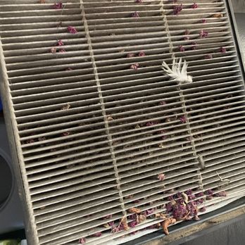 Jiffy Lube Oil Change - Dirty Cabin Filter - Auto Repair Near Me - Burbank, California