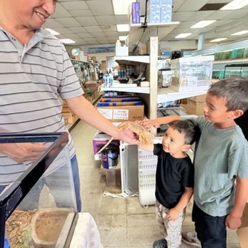Foothill Aquatic & Pets - Kids petting a Bearded dragon - Pet Stores Near Me - La Verne, California