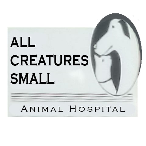Animal Arts Professional Taxidermy - taxidermy in Deerfield, WI