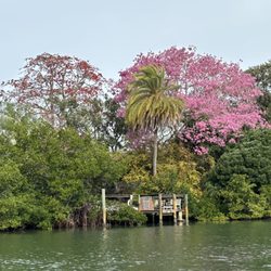 Suncoast Adventure Tours and Charters