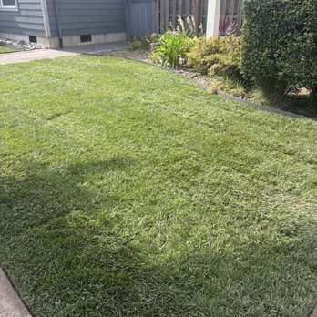 NW Top Landscaping - New, sod, sprinkler system, and metal border. - Landscaping Near Me NW Top Landscaping - New, sod, sprinkler system, and metal border. - Landscaping Near Me
