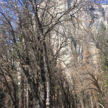 El Capitan - Hiking Near Me El Capitan - Hiking Near Me