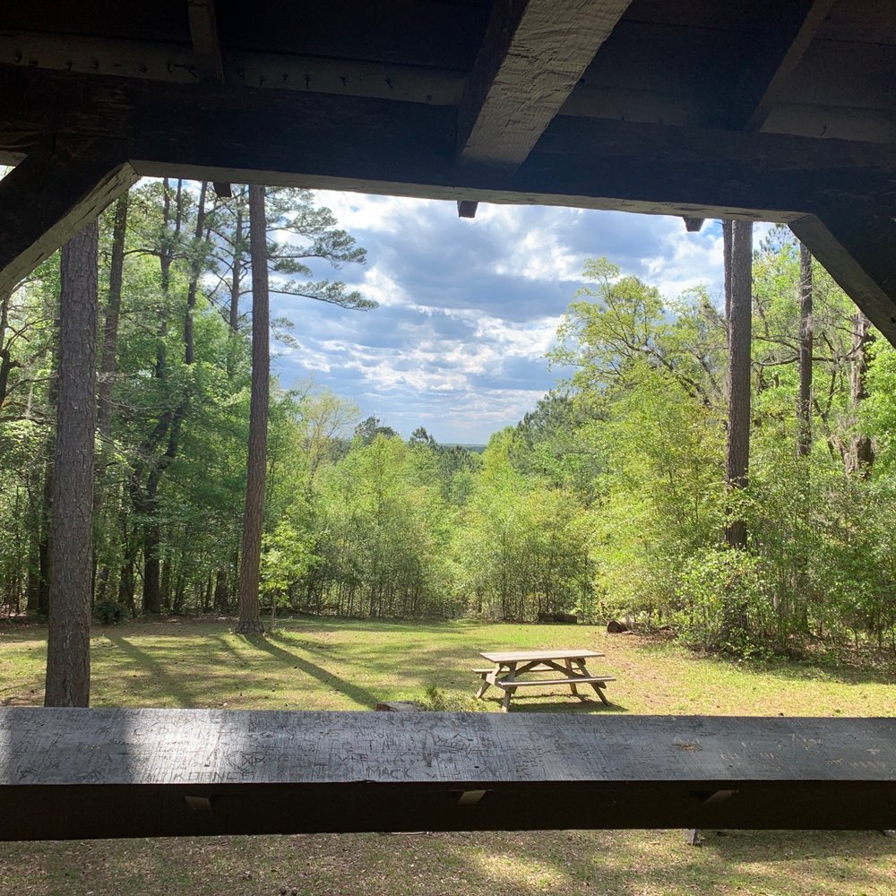 Poinsett State Park - Viewpoint - Parks Near Me - Wedgefield, South Carolina Poinsett State Park - Viewpoint - Parks Near Me - Wedgefield, South Carolina