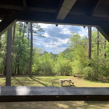 Poinsett State Park - Viewpoint - Parks Near Me - Wedgefield, South Carolina Poinsett State Park - Viewpoint - Parks Near Me - Wedgefield, South Carolina
