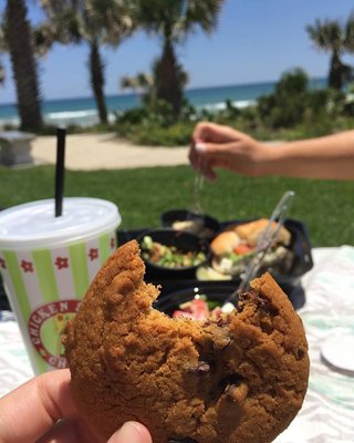 Chicken Salad Chick by null