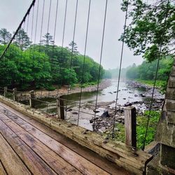 Wire Bridge