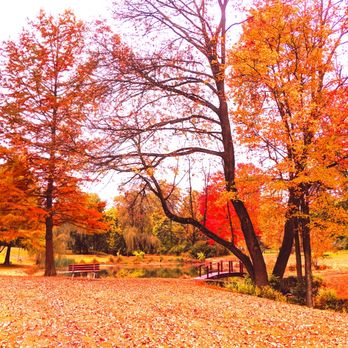 Greer Park - Greer Park -- fall - Parks Near Me Greer Park - Greer Park -- fall - Parks Near Me