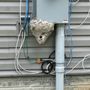 Photo of Extreme Pest & Termite