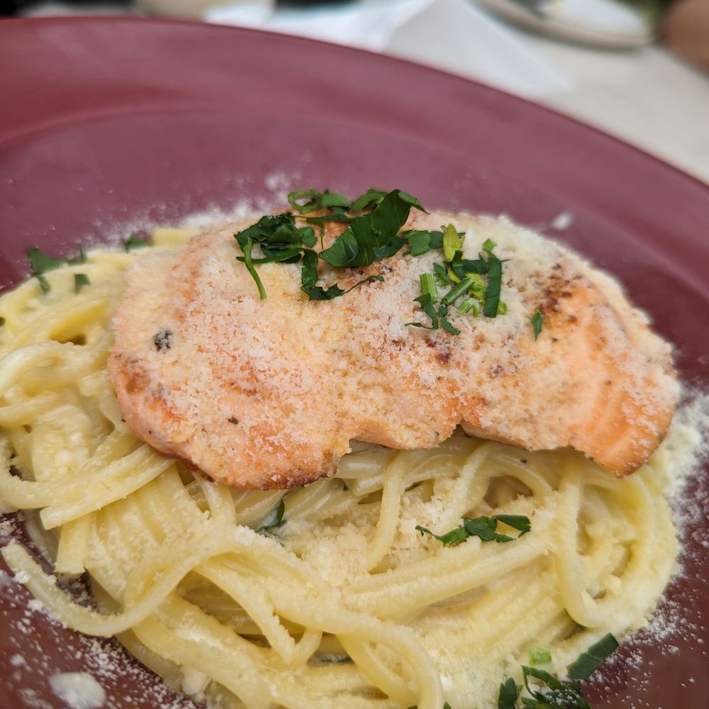 Why Not - Salmon Alfredo - Seafood Near Me - Hollywood, Florida Why Not - Salmon Alfredo - Seafood Near Me - Hollywood, Florida